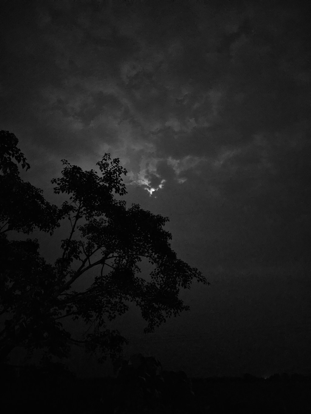 Dawns which never&nbsp;Arrive