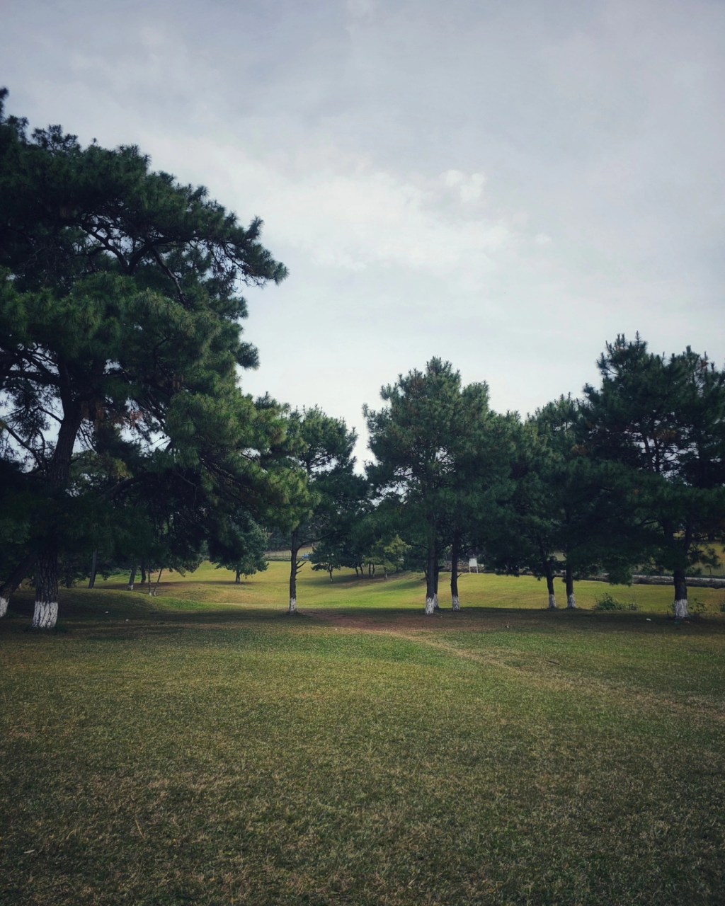 A Unique Chapter in Slow Movement:&nbsp;Shillong