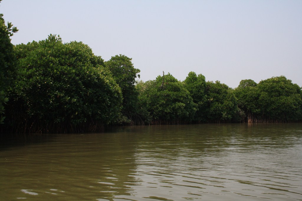 Pichavaram – An Aquamarine Charm   