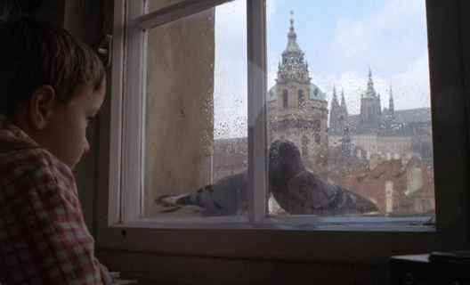 Loves no not&nbsp;history