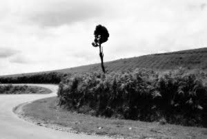 Under a frozen&nbsp;sun