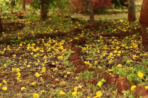 being natural, living&nbsp;naturally