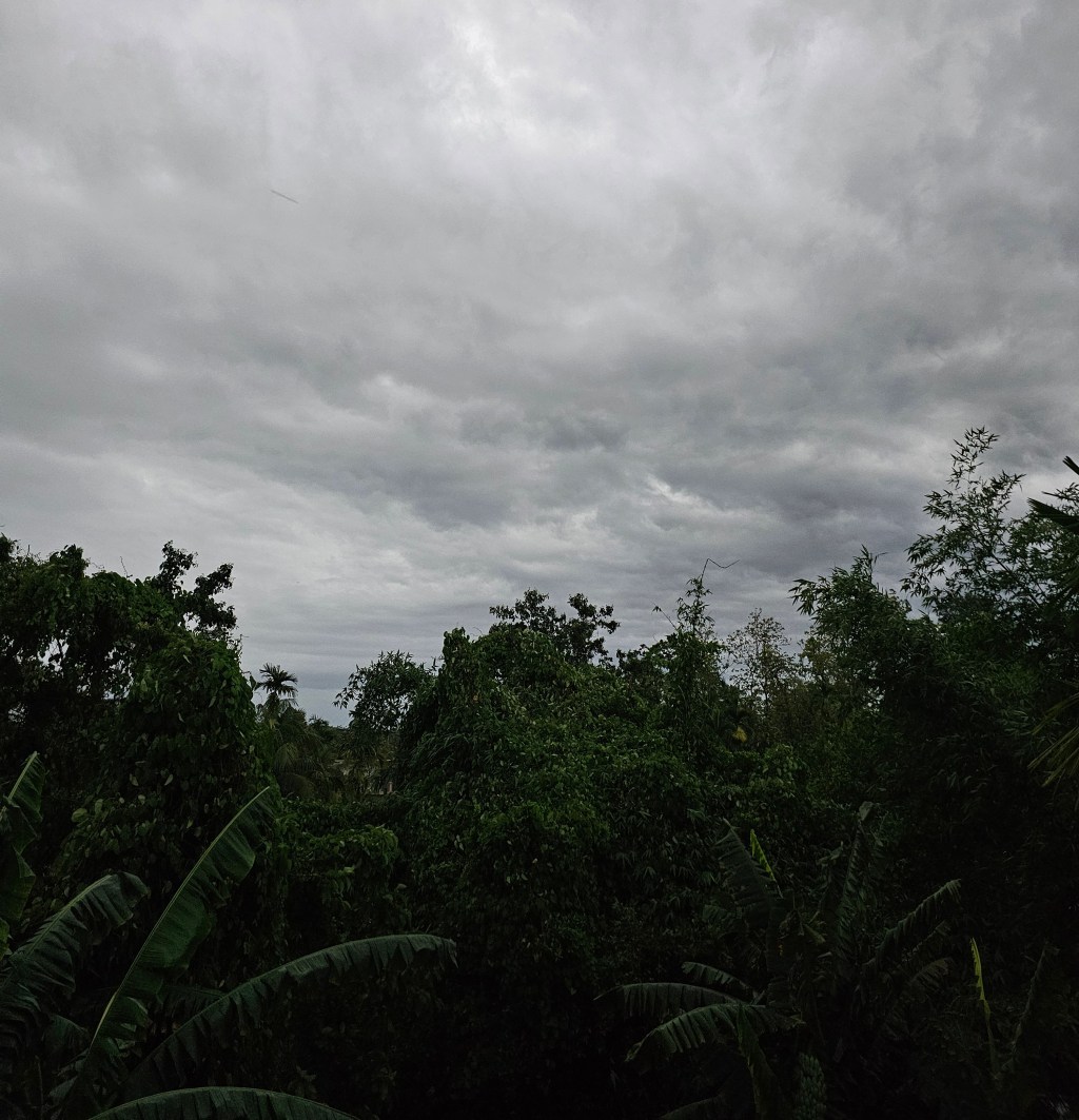 अहम् के बहाने? 