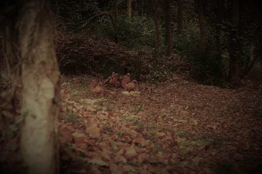 Crossings and Convergence    