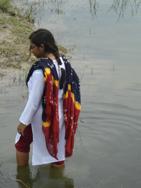 নিলগৰ গান 