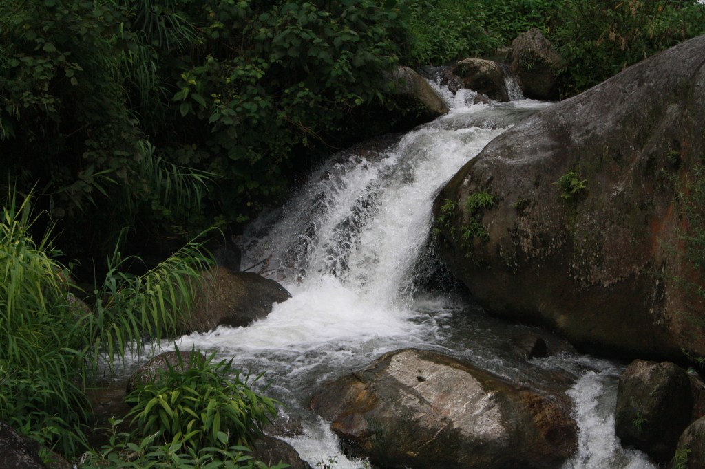 Tourism Industry in Sikkim: Boon or&nbsp;Bane?